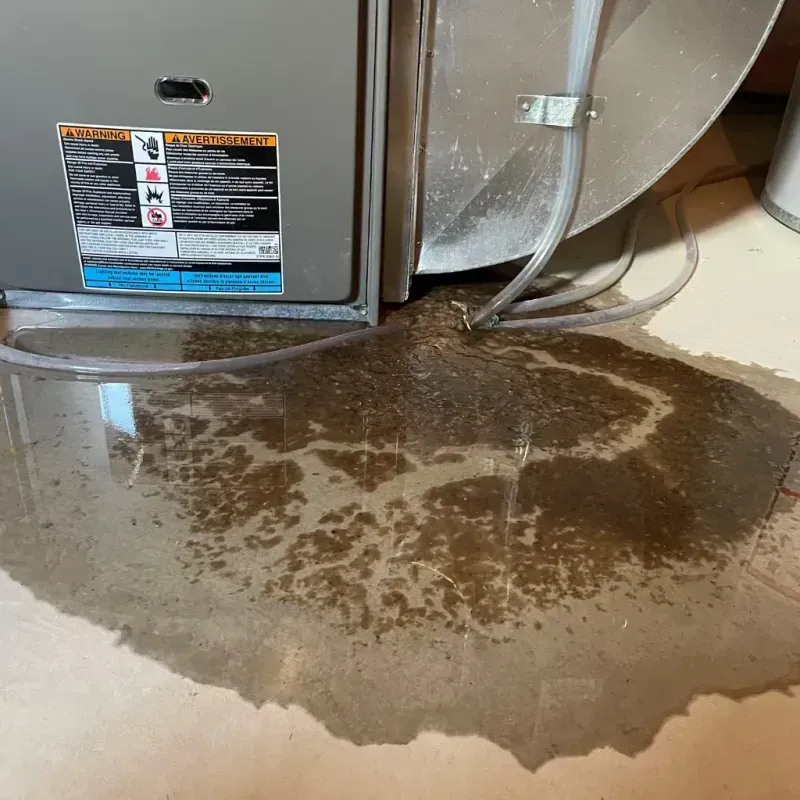 Appliance Leak Cleanup in Tiger Point, FL